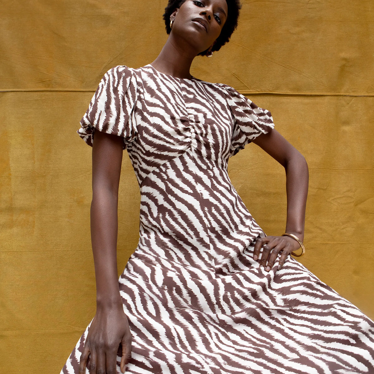 Brown Zebra Print Puff Sleeve Dress – Ro&Zo