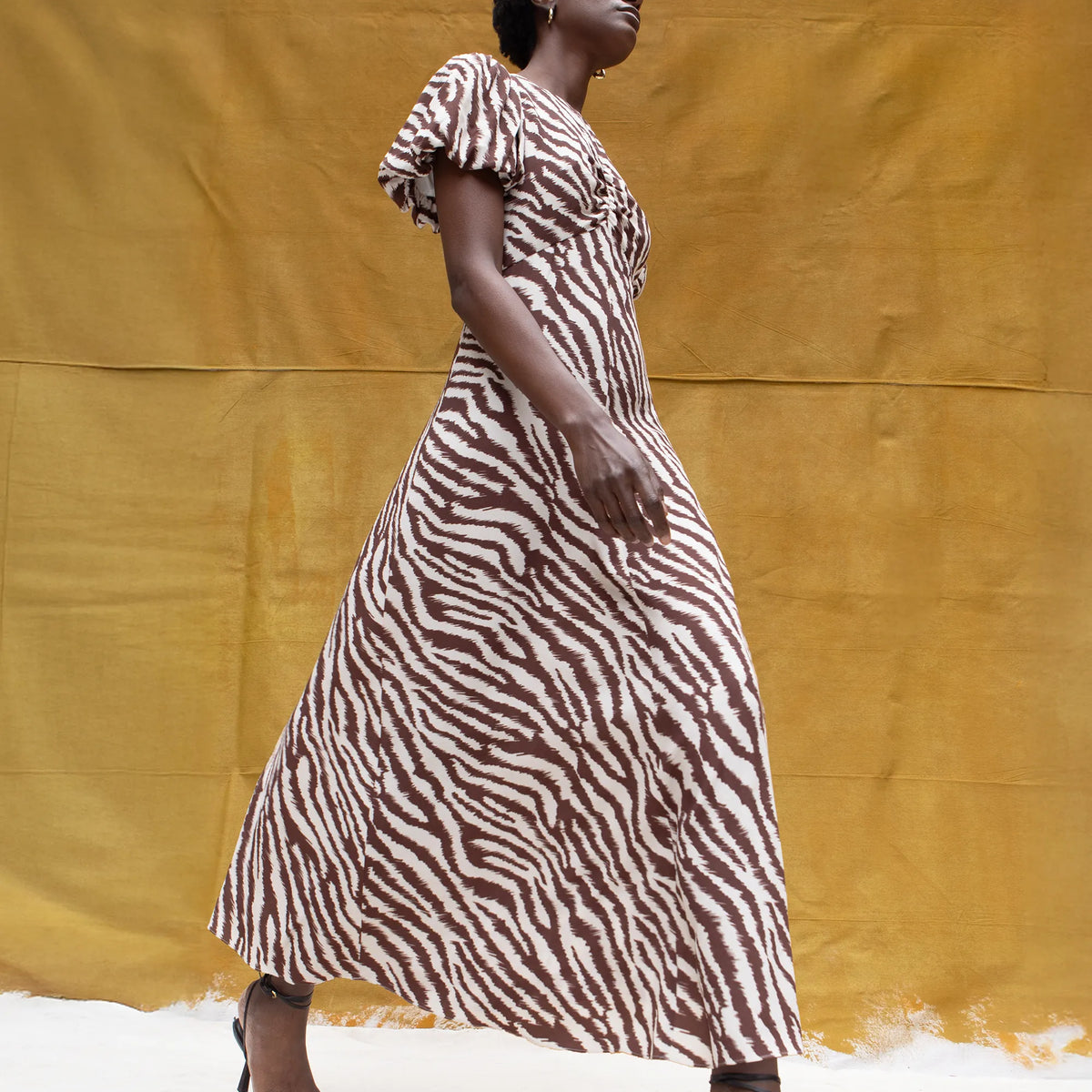 brown zebra next zebra dress