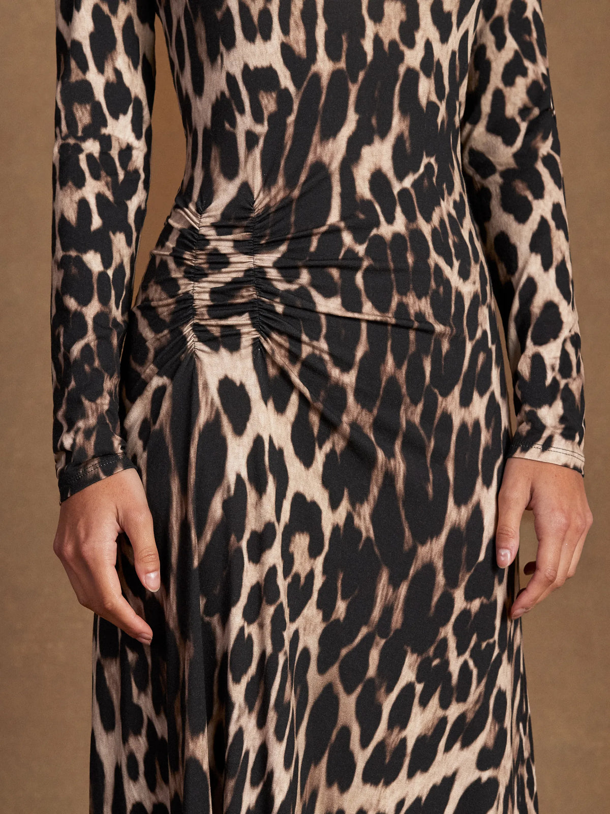 Brown Leopard Print Waist Detail Dress