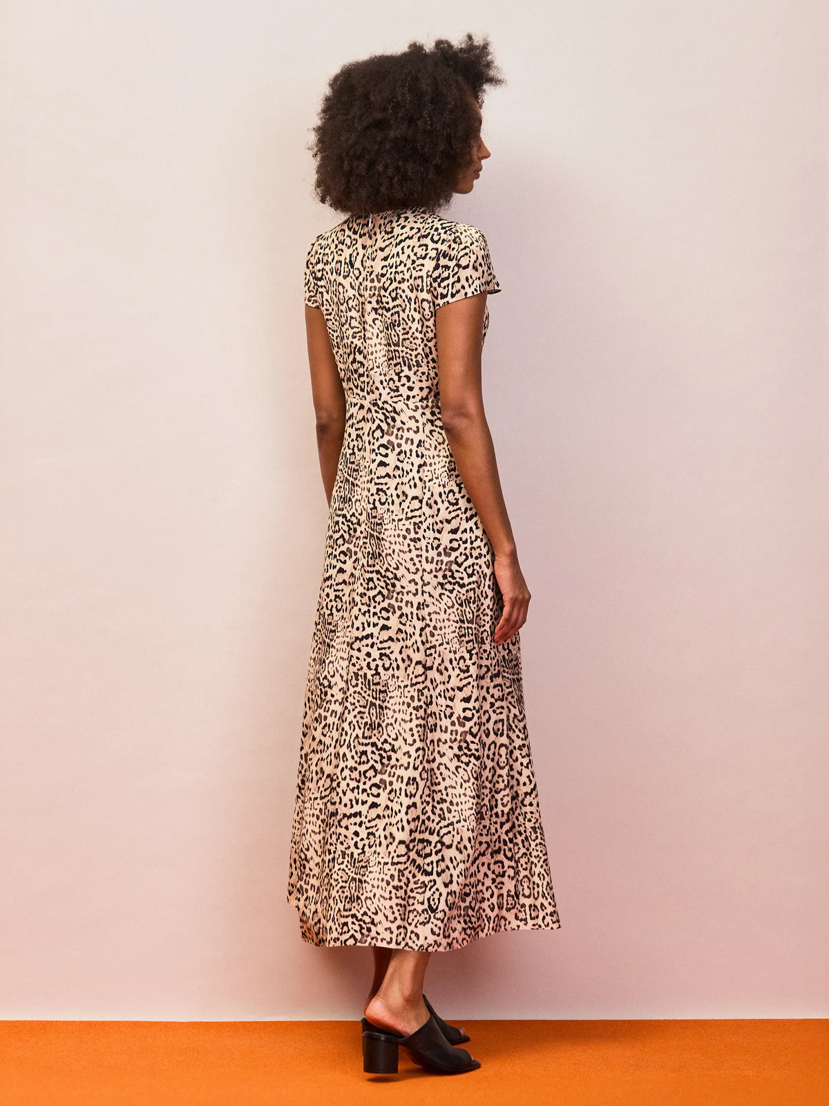 Animal print midi dress with seam detailing and lined bodice
