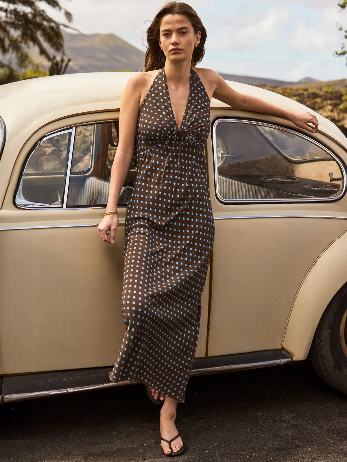 Brown And Blue Spot Print Halter Neck Dress