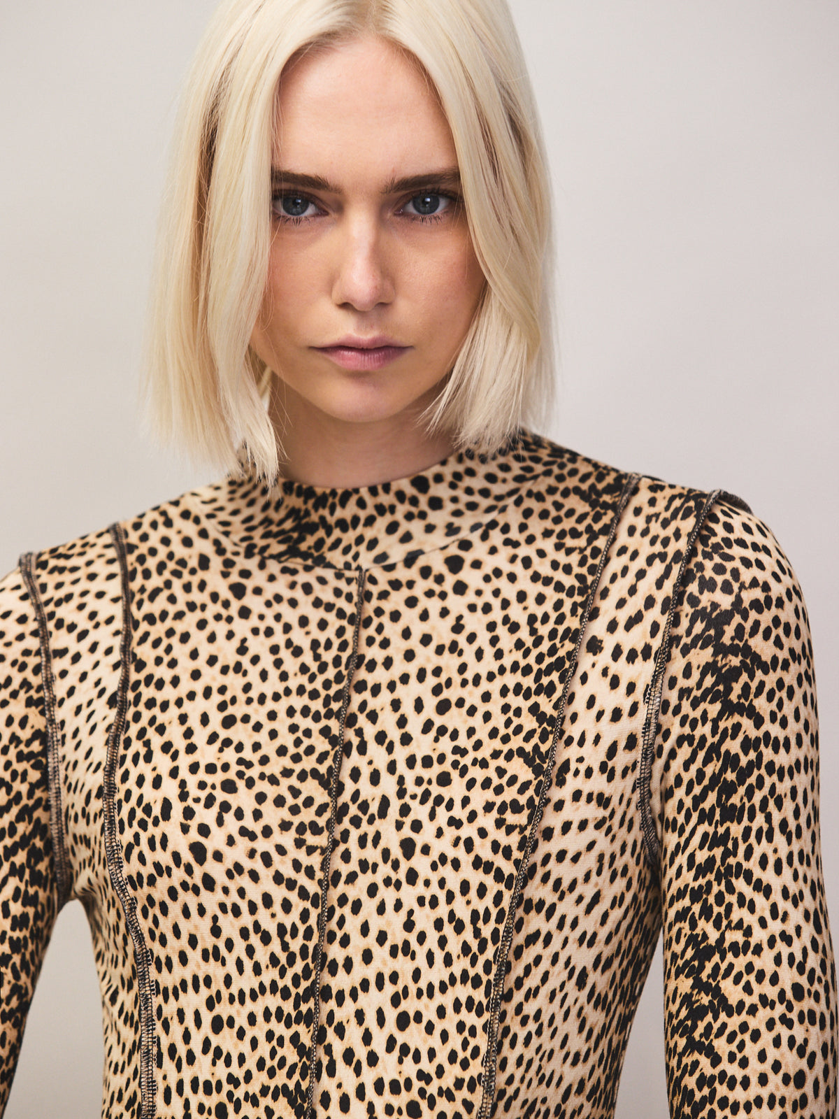Petite Animal Print Seam Detail Dress